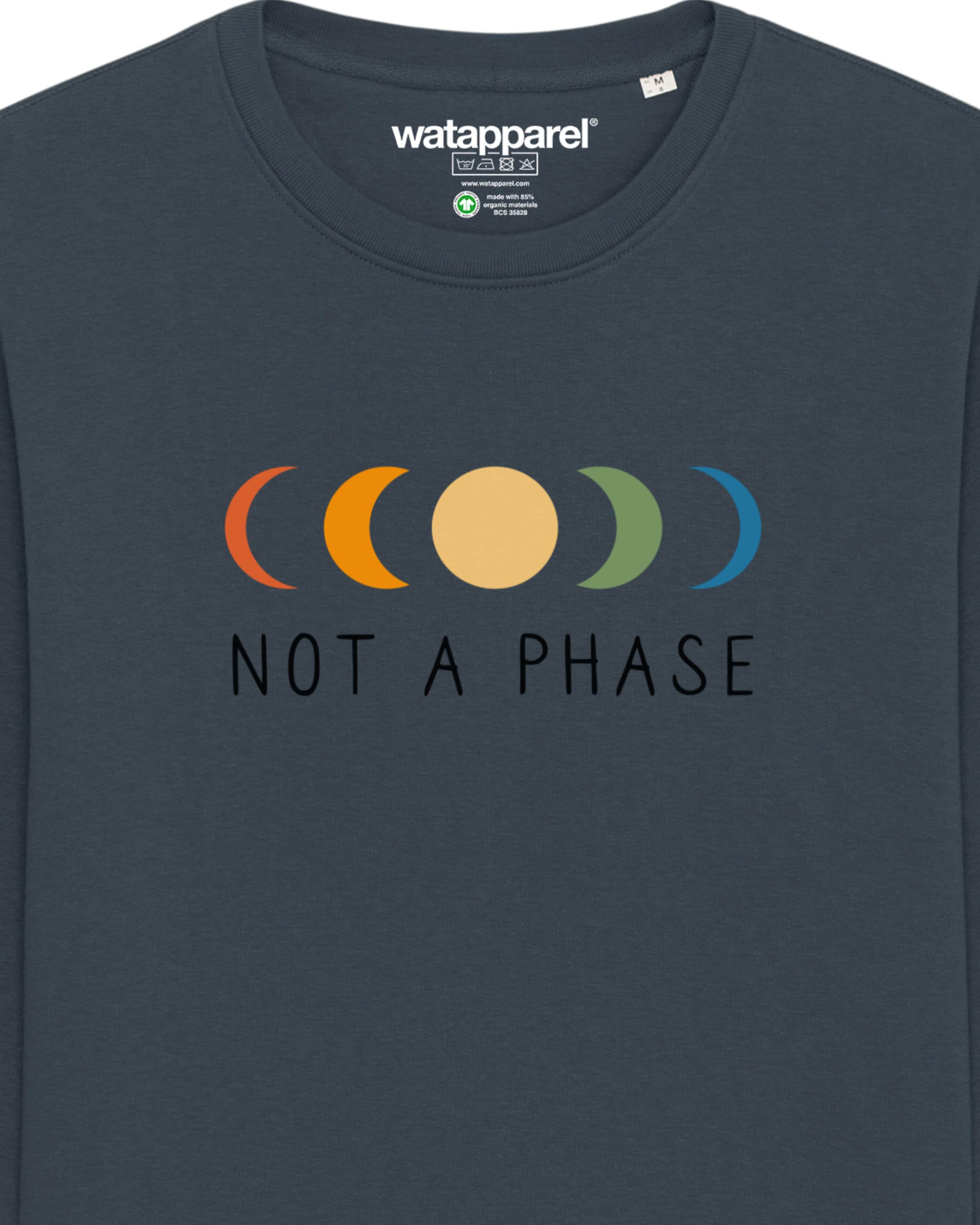 Watapparel Sweatshirt 'Not a Phase' in Grijs