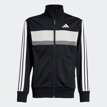 Completo per l'allenamento 'Seasonal Essentials Tiberio' di ADIDAS SPORTSWEAR in nero