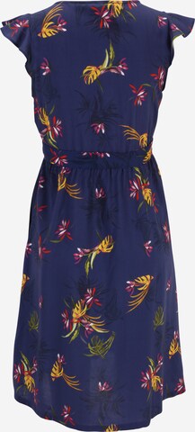 Envie de Fraise Dress 'EMY' in Blue