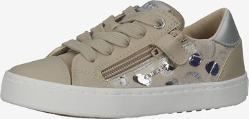 Baskets GEOX en beige : devant