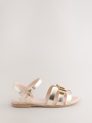 Baker by Ted Baker Sandal i guld
