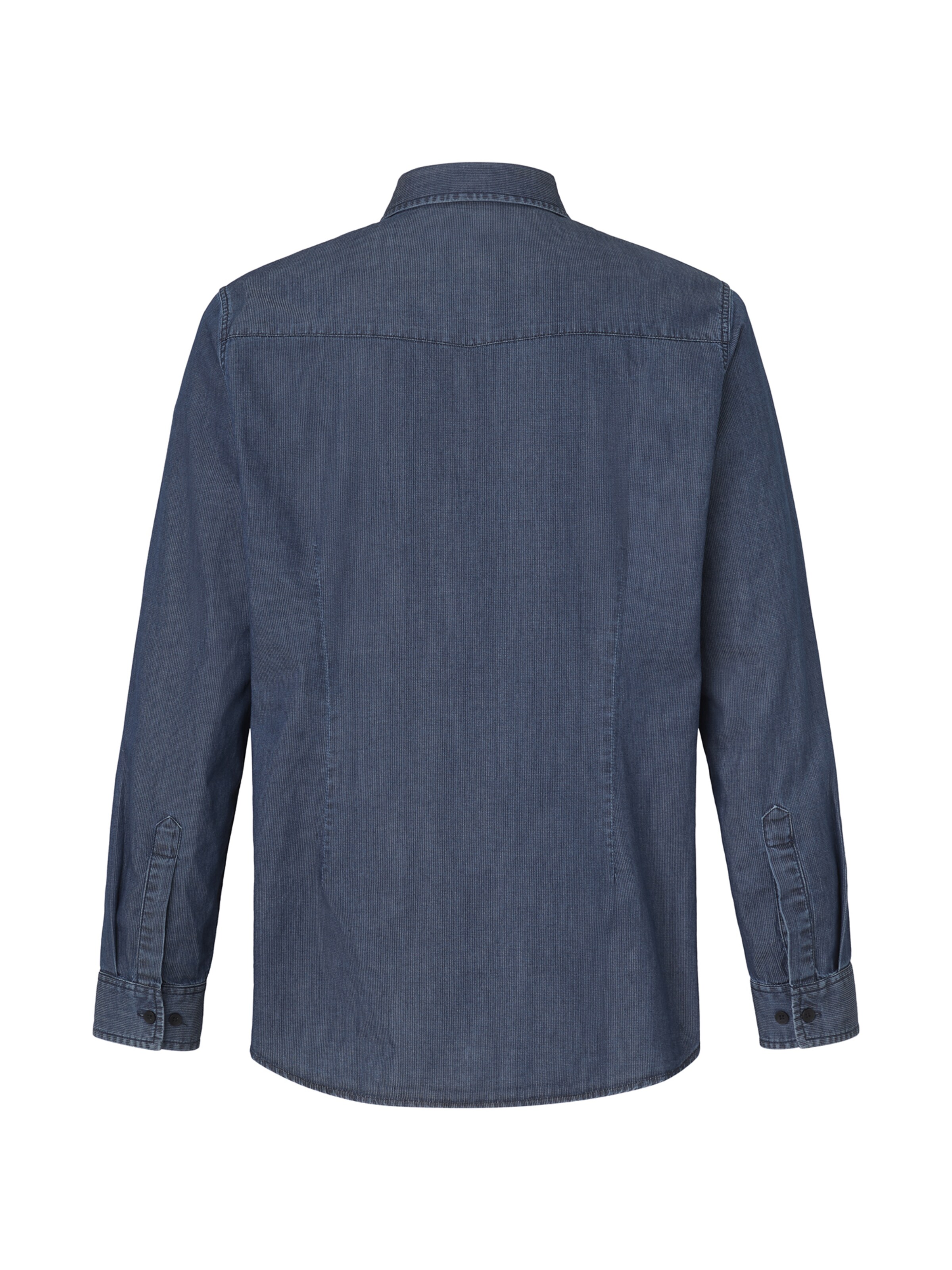 PADDOCKS Regular fit Button Up Shirt in Blue