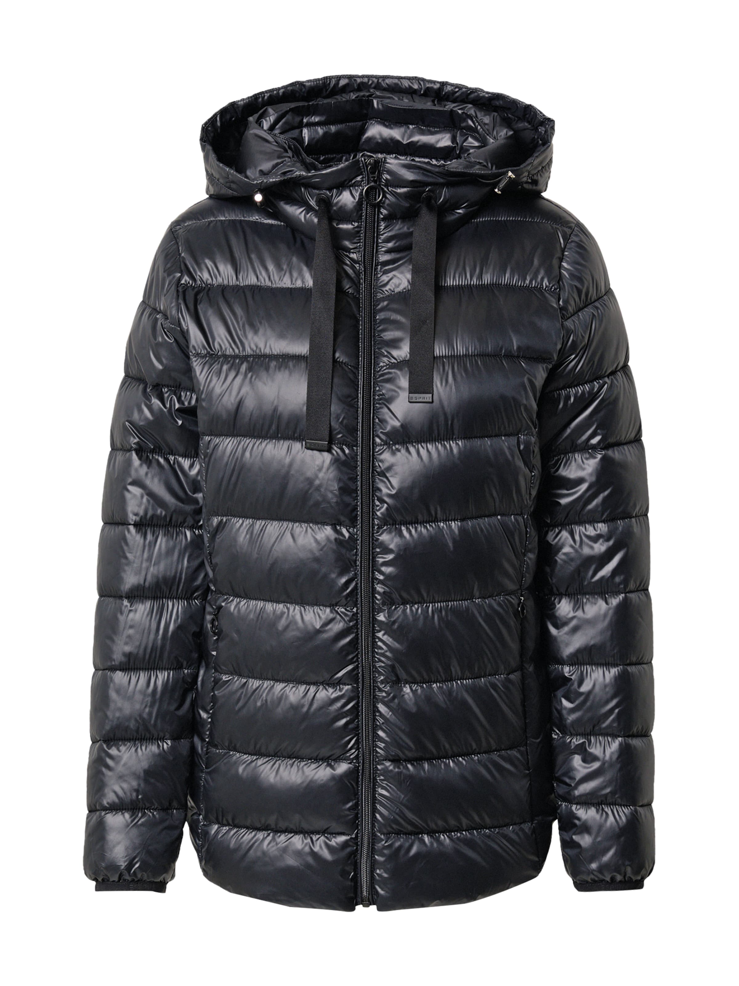 esprit men's winter jacket