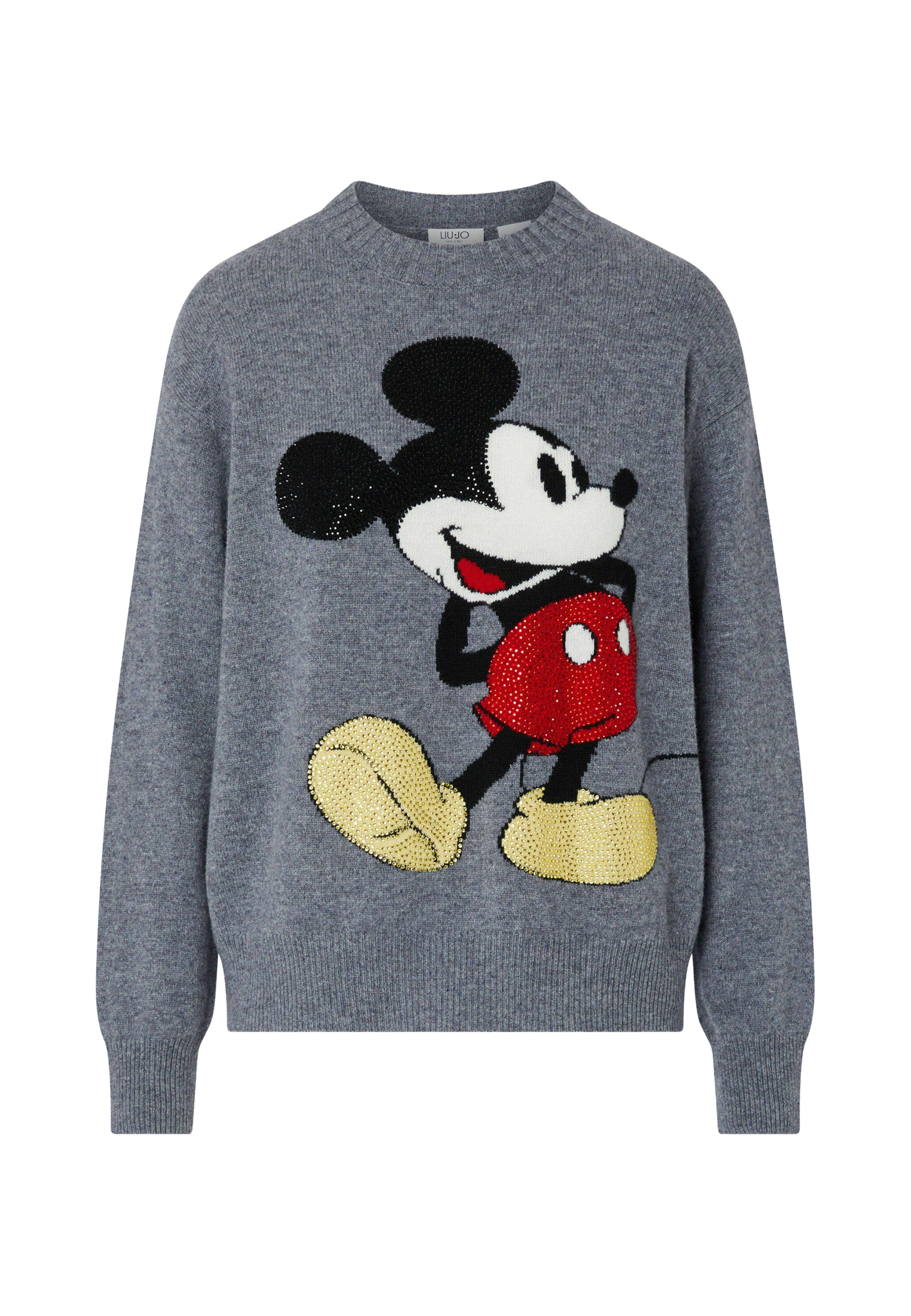 Liu Jo Sweater 'ECS' in Grey: front