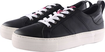 D.MoRo Shoes Sneakers in Black: front