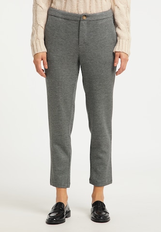Usha Regular Pants in Grey: front