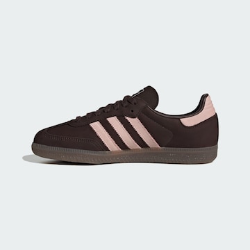 Baskets basses 'Samba' ADIDAS ORIGINALS en marron