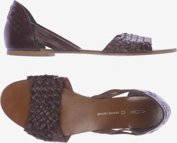 COX Sandals & High-Heeled Sandals in 40 in Brown: front