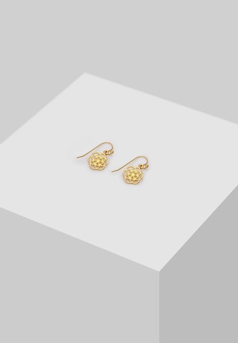 Nenalina Earrings in Gold