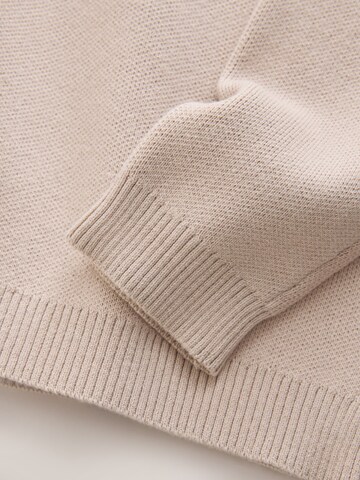 Next Pullover in Beige