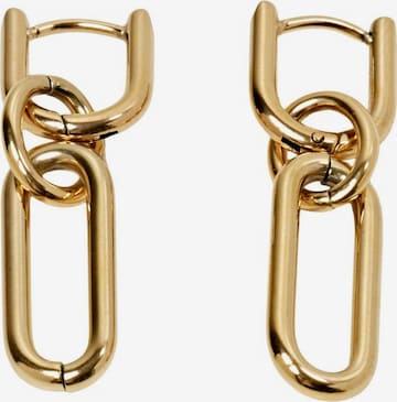 ESPRIT Earrings in Gold