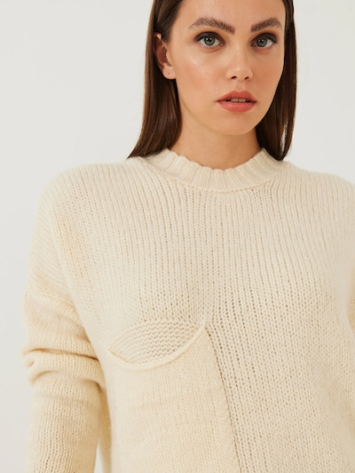 Bianco Lucci Pull-over en beige, Vue avec produit