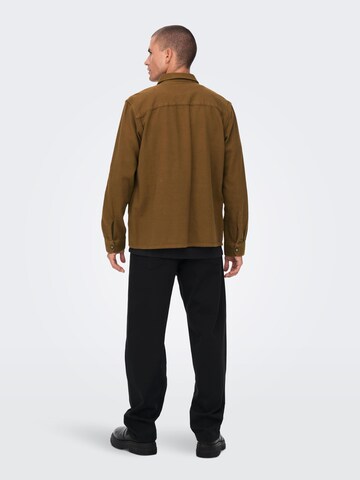 Only & Sons Regular Fit Skjorte 'Scott' i brun