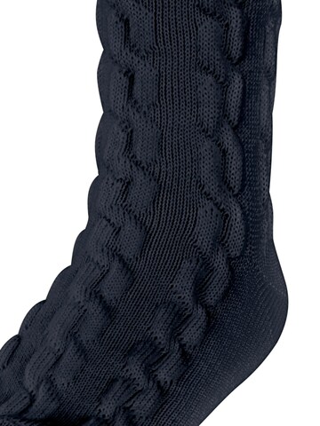 FALKE Socks 'Preppy Cable' in Blue: front