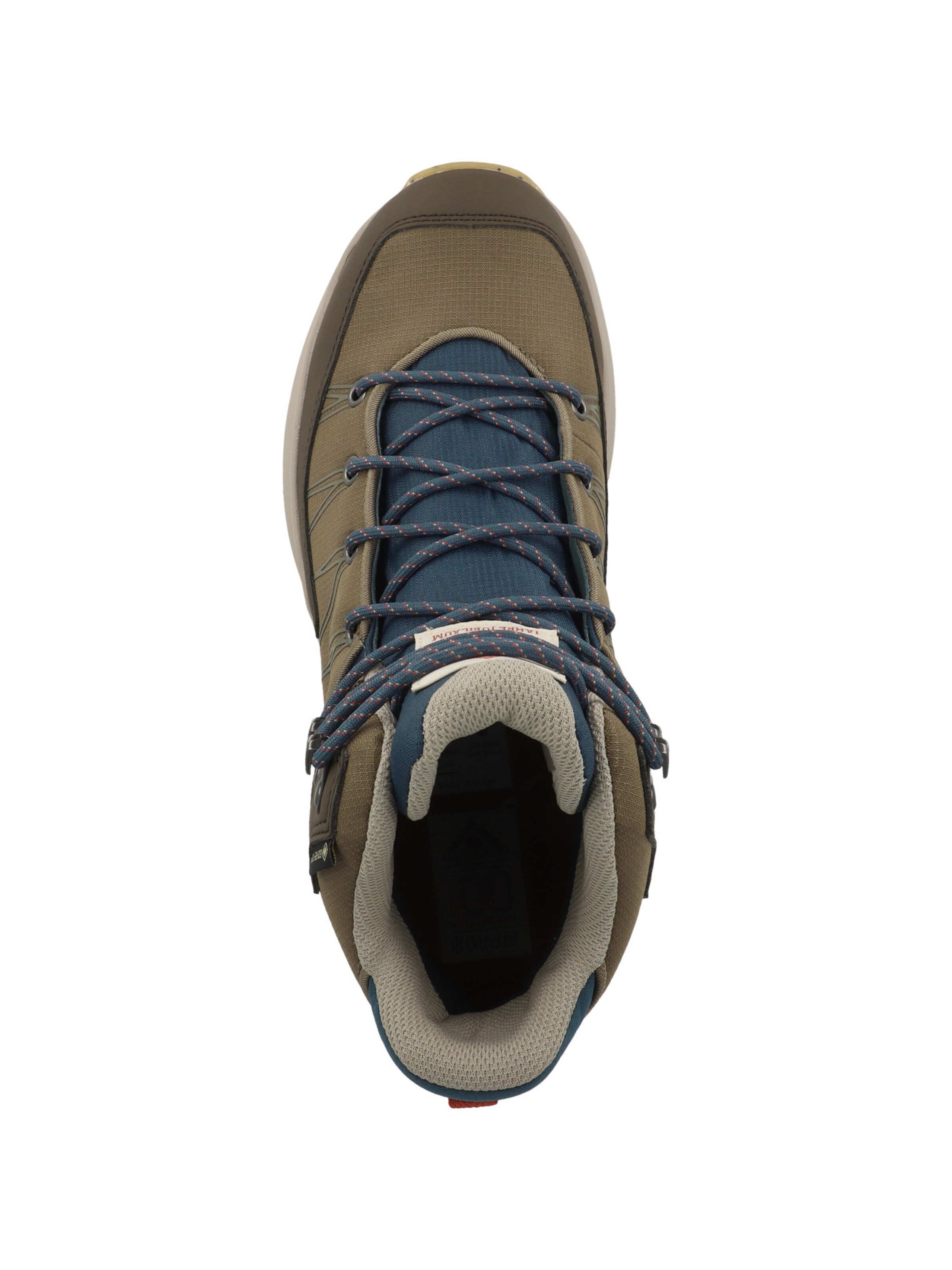 Dachstein - Sapato baixo em verde