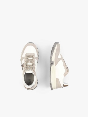 Scalpers Sneaker low 'Bono' i beige