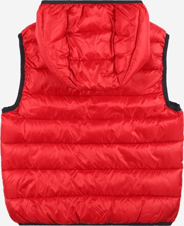 Champion Authentic Athletic Apparel Vest in Red