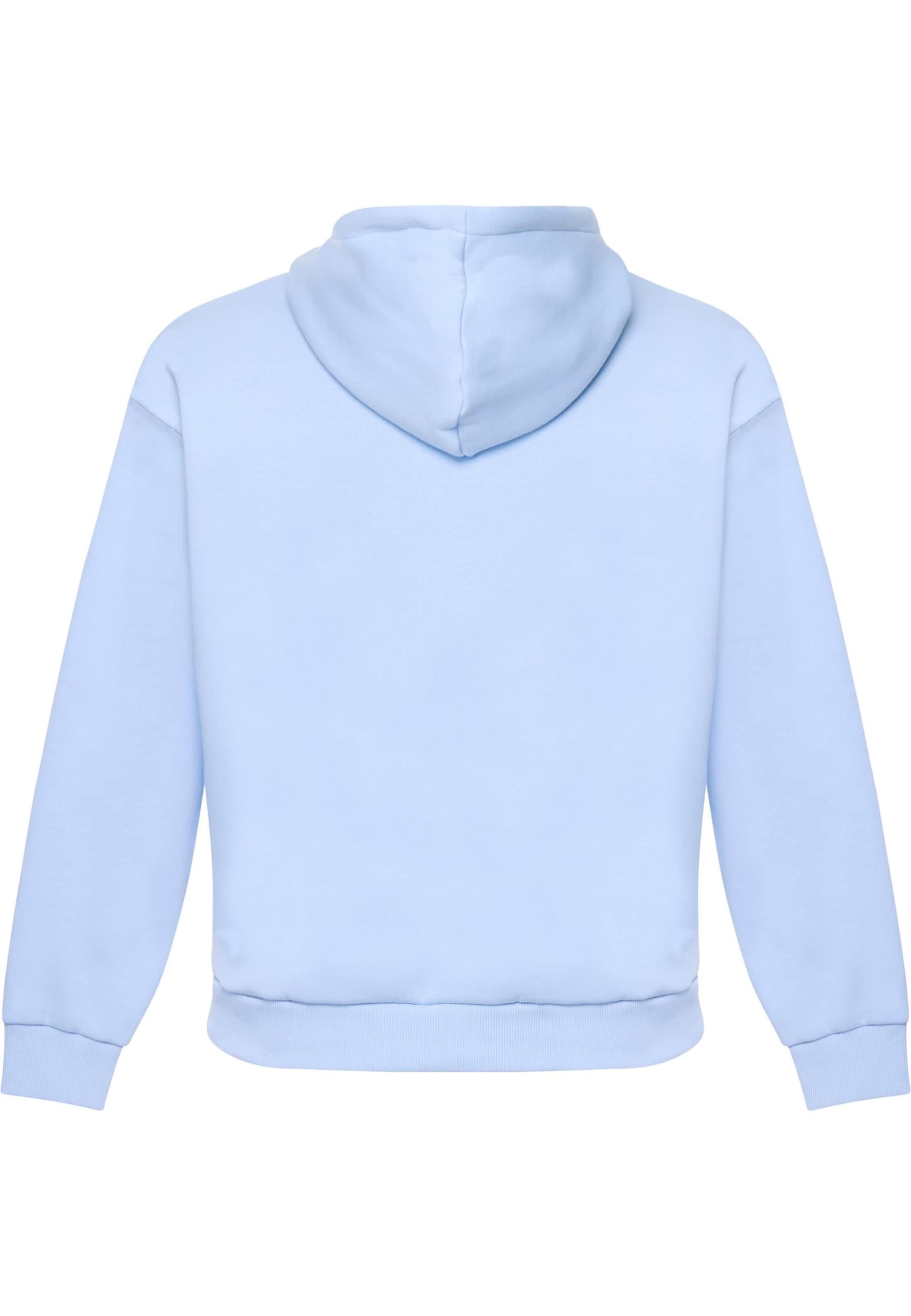 Dropsize Sweatshirt in Blauw