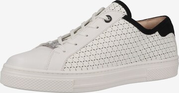 HASSIA Sneakers in White: front