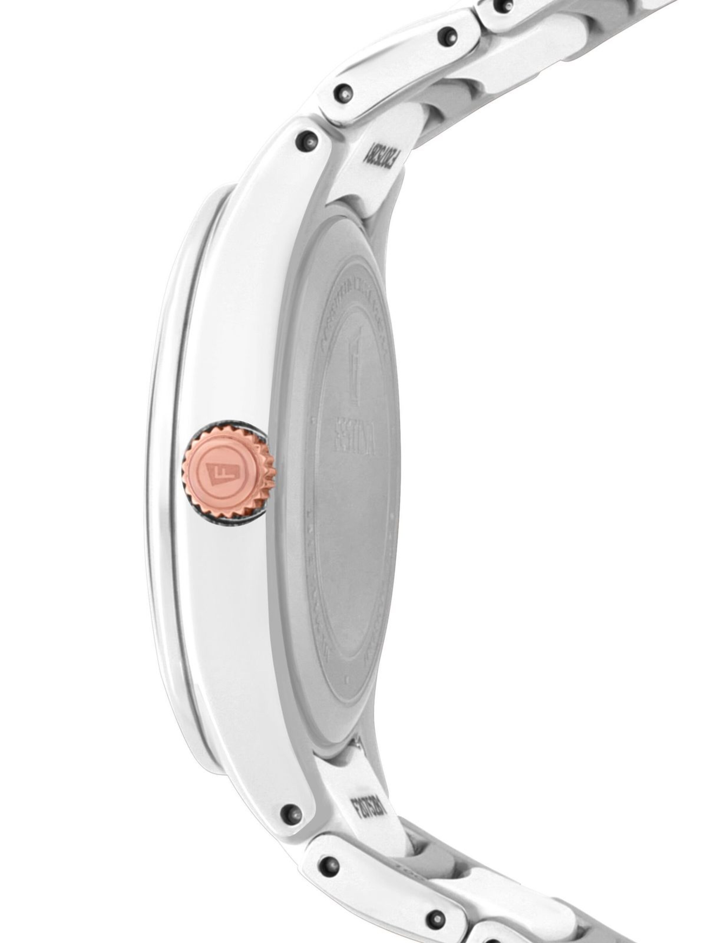 FESTINA Analog Watch 'Watch Ceramic' in Silver