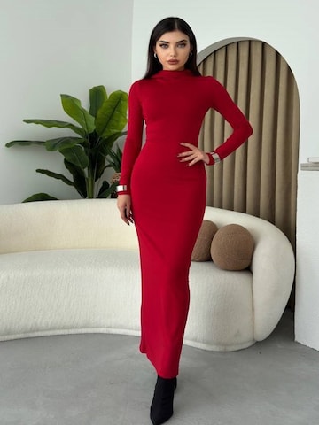 WOMAN VISION Jurk in Rood: voorkant