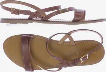 Les Tropéziennes par M Belarbi Sandalen 41 in Braun: predná strana