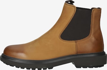 GEOX Chelsea Boots in Brown