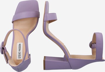 STEVE MADDEN Strap Sandals 'Riveting' in Purple