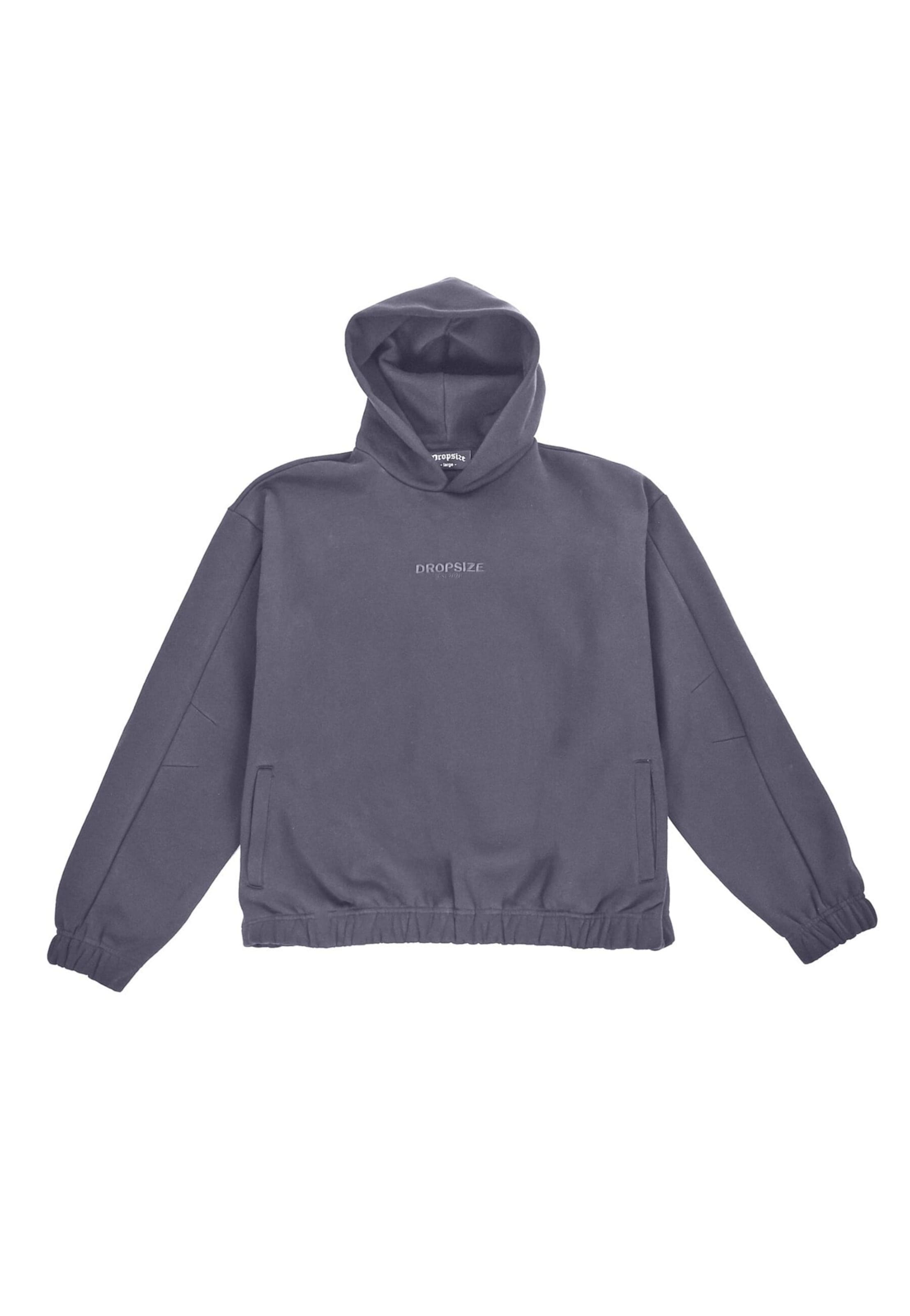 Sweat-shirt Dropsize en gris : devant