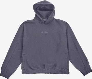 Dropsize Sweatshirt in Grey: front