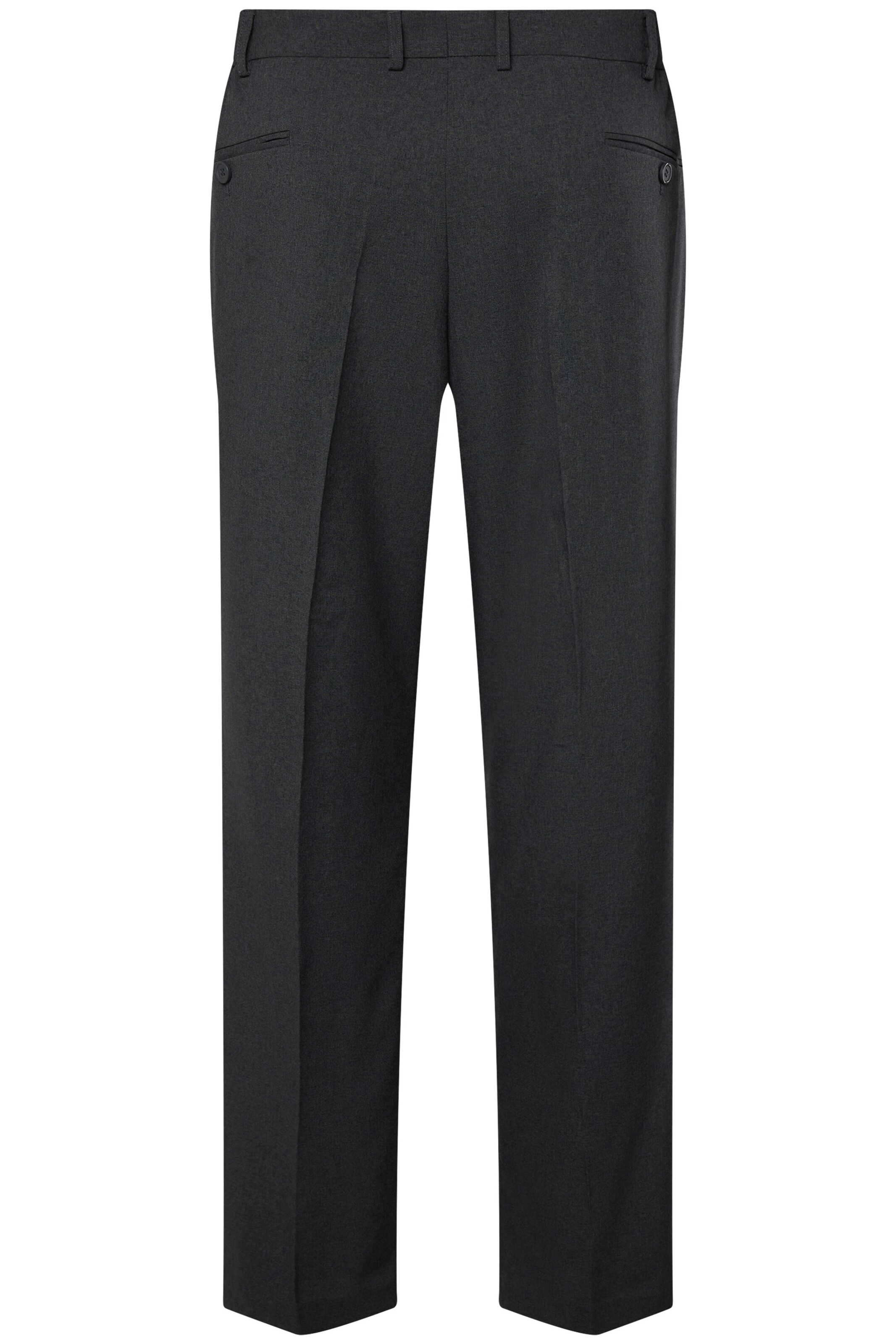 Men Plus Regular Broek in Grijs