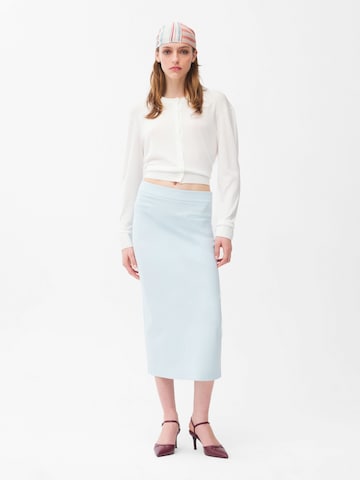 adl Skirt in Blue