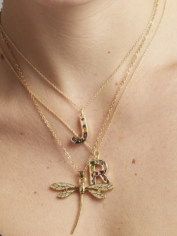 Luxenter - Cadena 'Kual' en oro