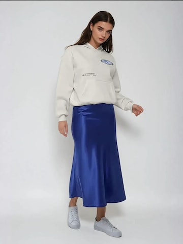 Hiccup Rok in Blauw
