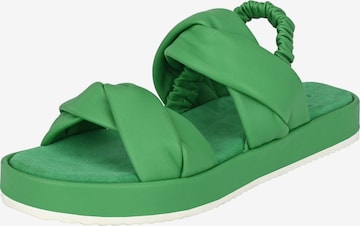 Crickit Sandalen met riem 'JANEKE' in Groen: voorkant