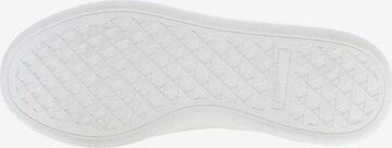 Baskets basses 'Maraya' U.S. POLO ASSN. en blanc