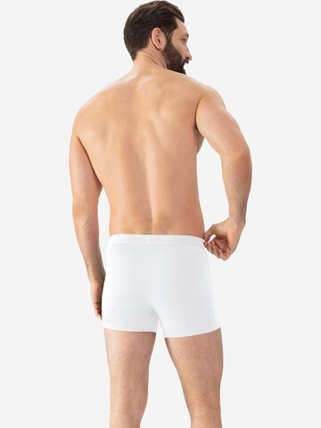 Mey Boxer shorts 'Comfort Cotton' in Black