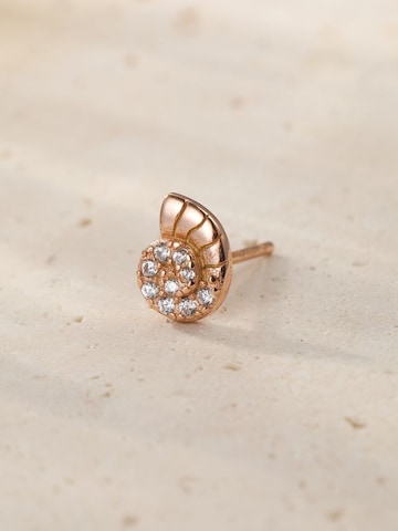 Hey Happiness - Pendientes 'Nautilus Shine' en oro