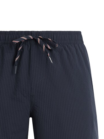 PROTEST Swimming shorts 'PRTAgden' in Blue