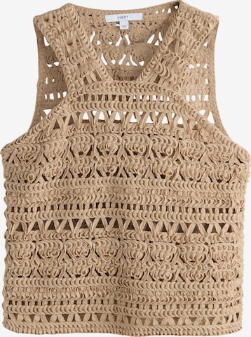 Top in maglia di Next in beige: frontale