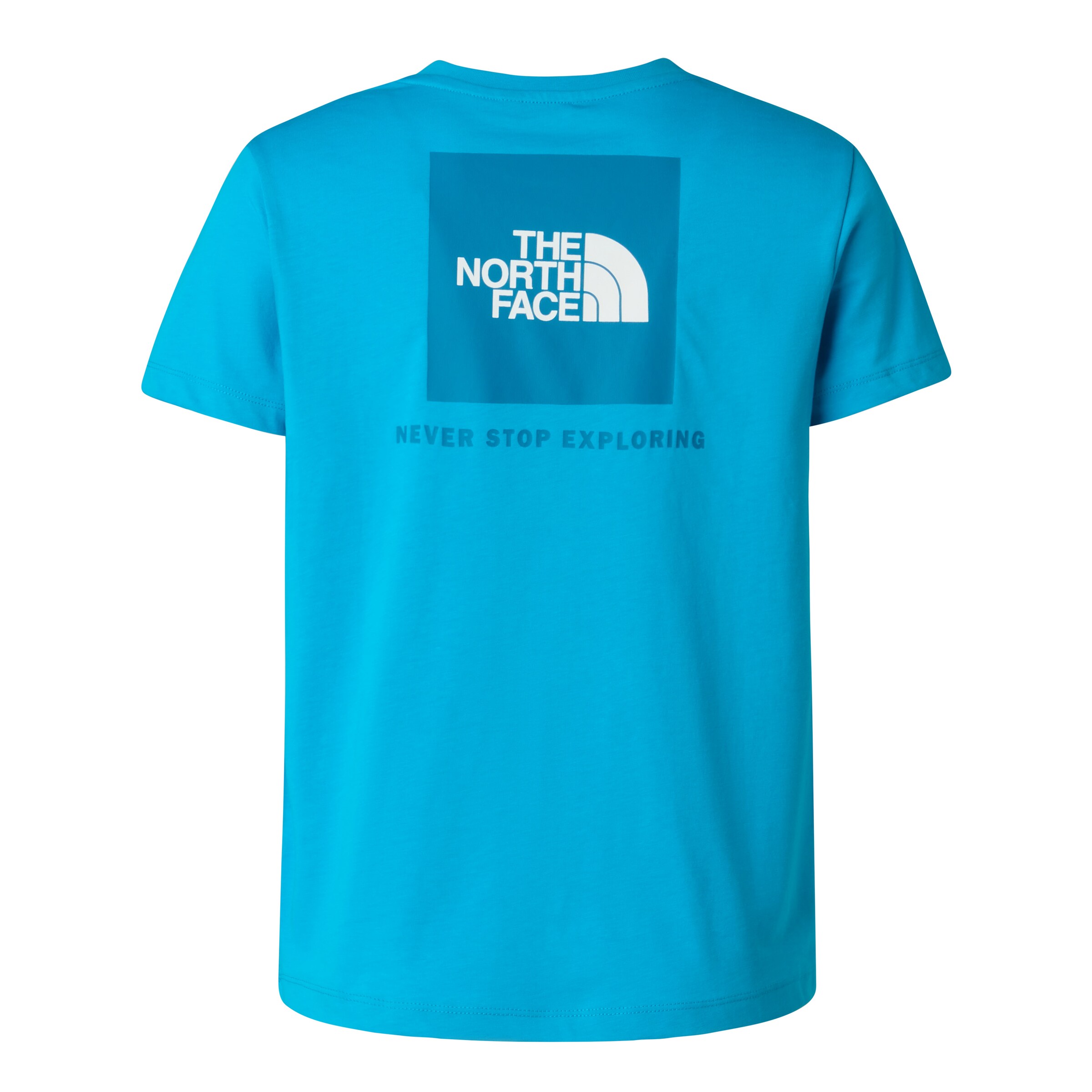 THE NORTH FACE Shirt in Blue