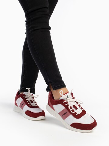 Sneaker bassa 'Alfa' di Spyder in rosso: frontale