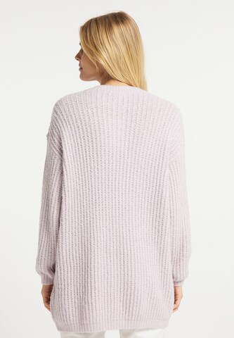 usha WHITE LABEL Sweater in Purple