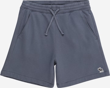 Abercrombie & Fitch Regular Shorts 'ESSENTIALS' in Blau: predná strana