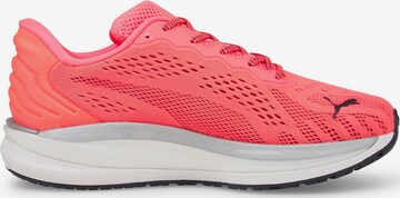 PUMA Laufschuh 'Magnify Nitro Surge' in Pink