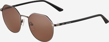Calvin KleinSunčane naočale 'CK22103S' - smeđa boja: prednji dio