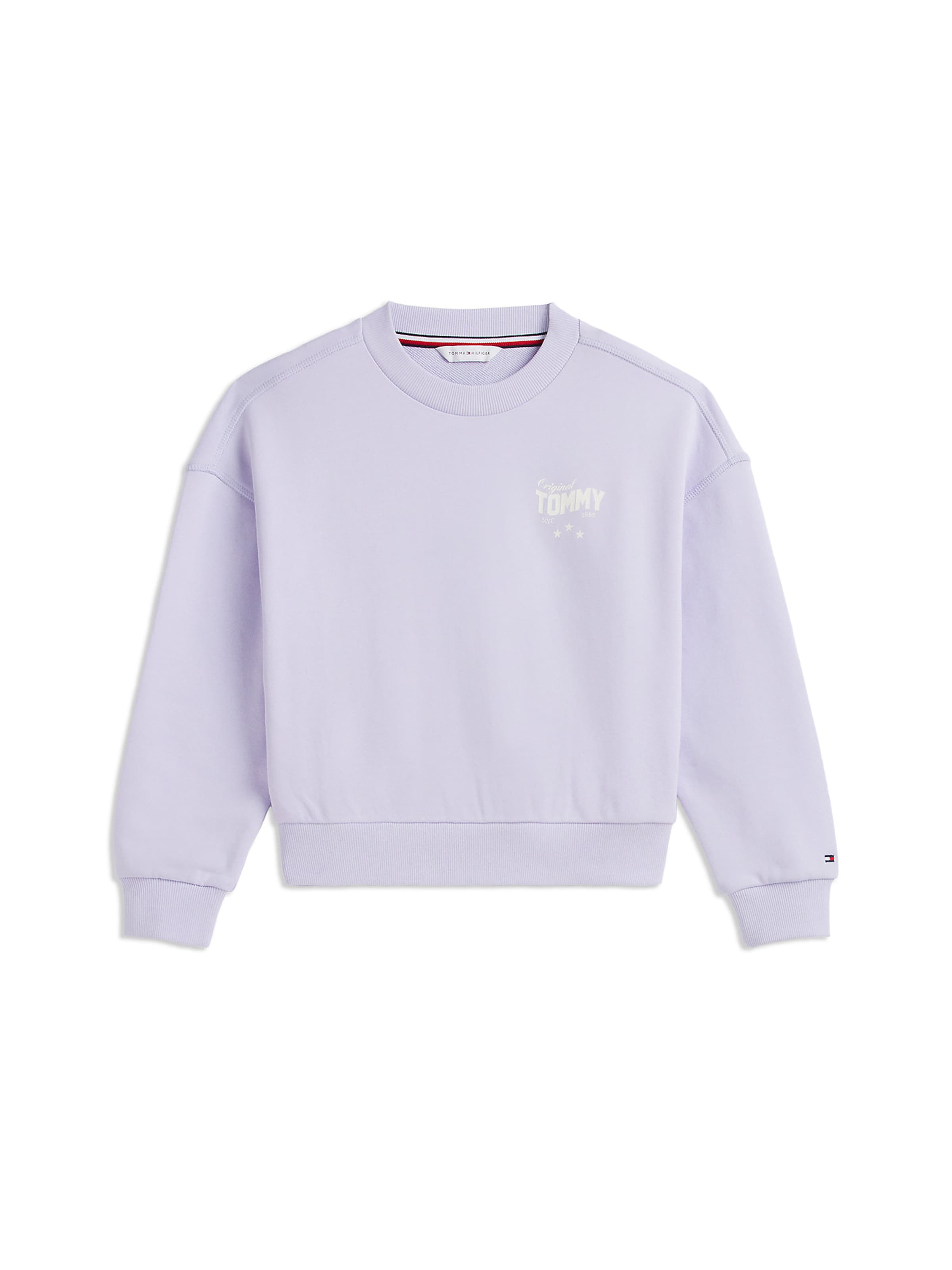 Sweat-shirt TOMMY HILFIGER en violet : devant