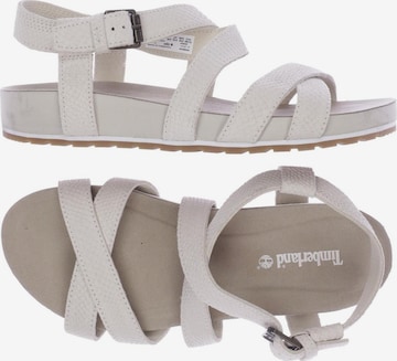 TIMBERLAND Sandalen 38,5 in Weiß: predná strana