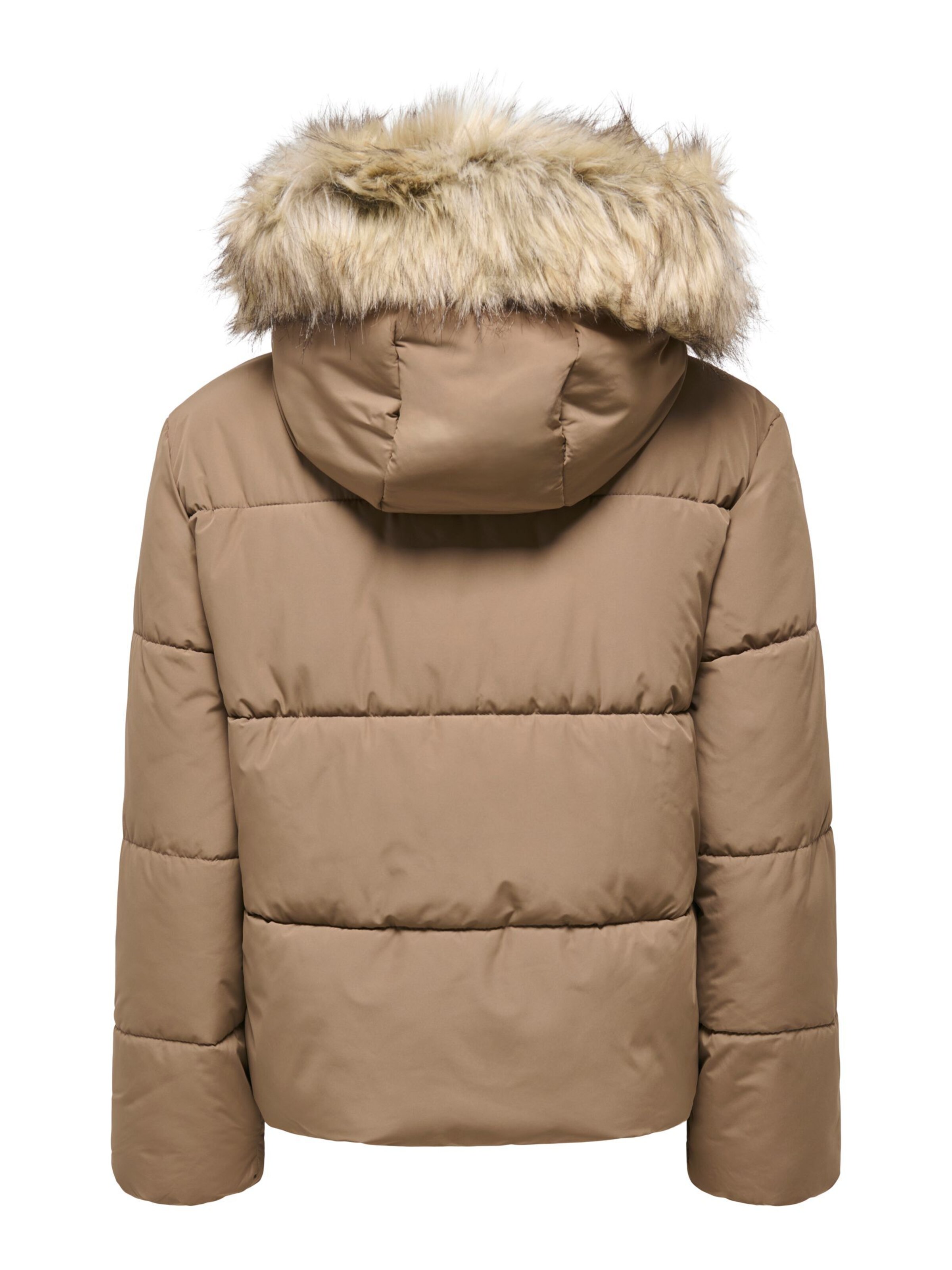 ONLY Winter jacket 'ONLJuta' in Brown