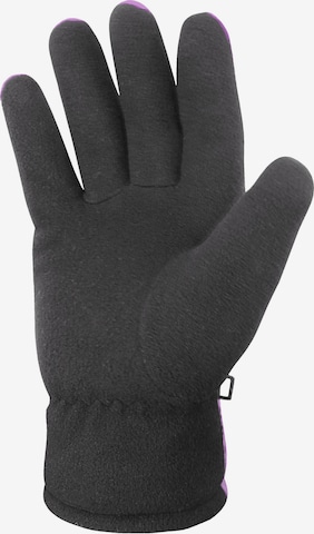 normani Full Finger Gloves ' Lupus ' in Grey